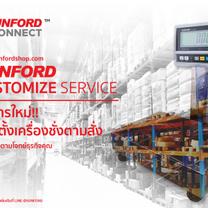 SUNFORD CUSTOMIZE SERVICE-02